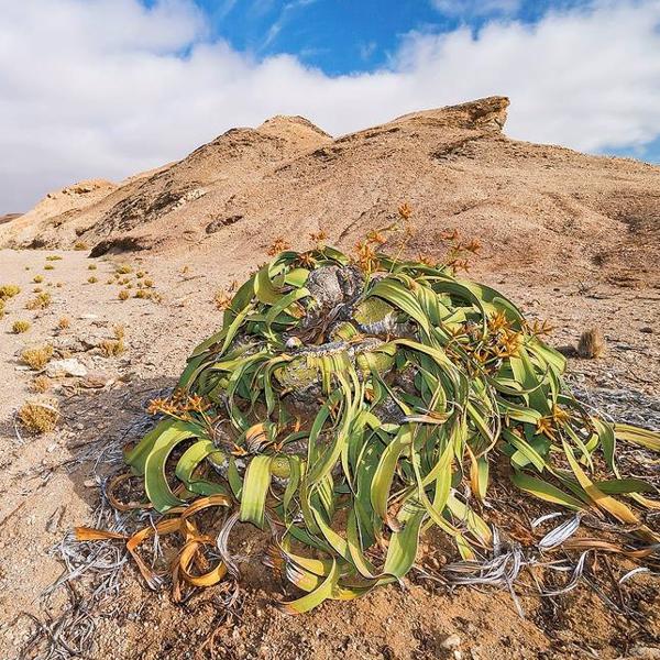 rocky-desert-tour-003